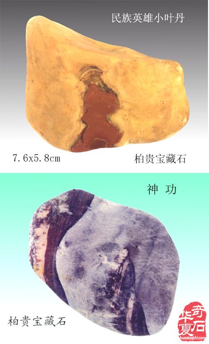 石中人物展风采，闪亮登场祝新年