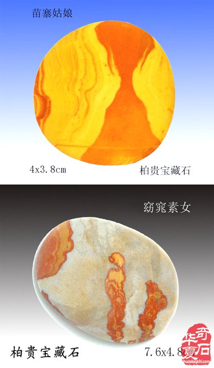 石中人物展风采，闪亮登场祝新年
