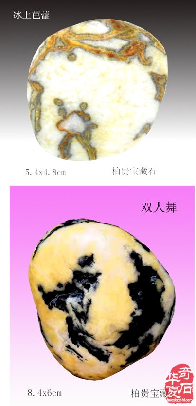 石中人物展风采，闪亮登场祝新年