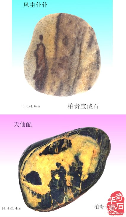 石中人物展风采，闪亮登场祝新年