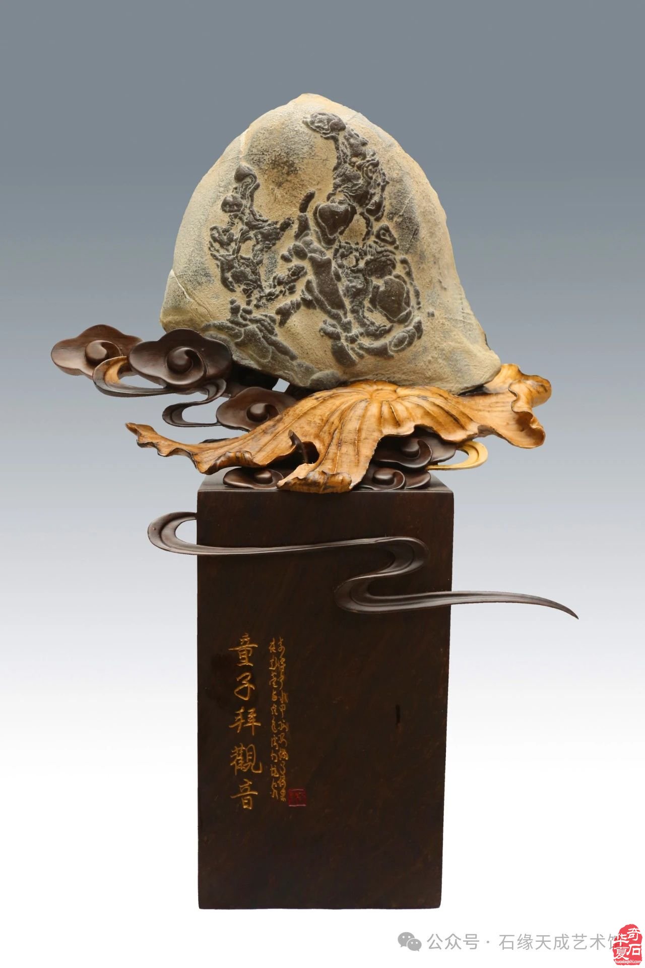 奇石贺元旦，瑞蛇送福来