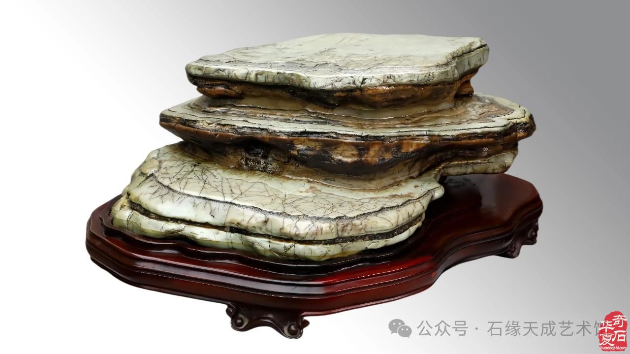 奇石贺元旦，瑞蛇送福来