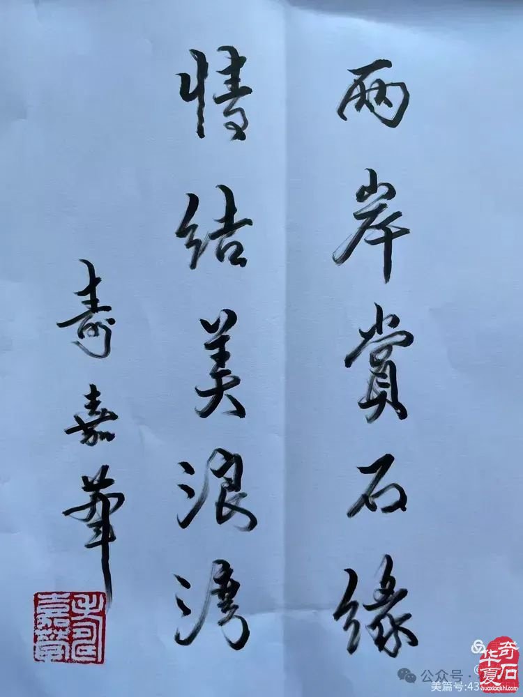 昌江县观赏石协会组团海峡两岸（海南）首届观赏石展 斩获佳绩