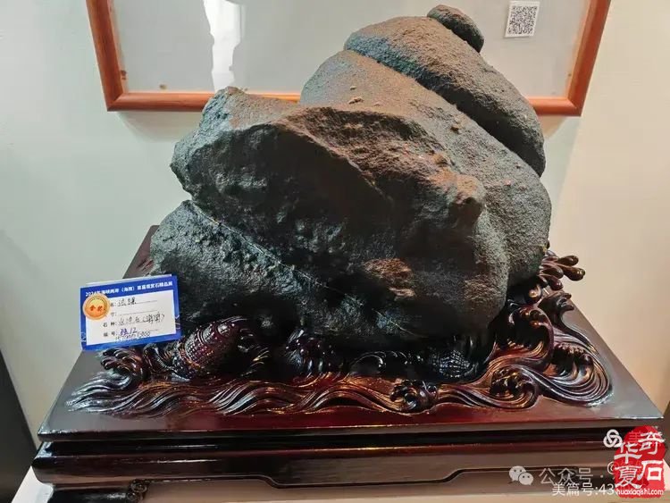 昌江县观赏石协会组团海峡两岸（海南）首届观赏石展 斩获佳绩