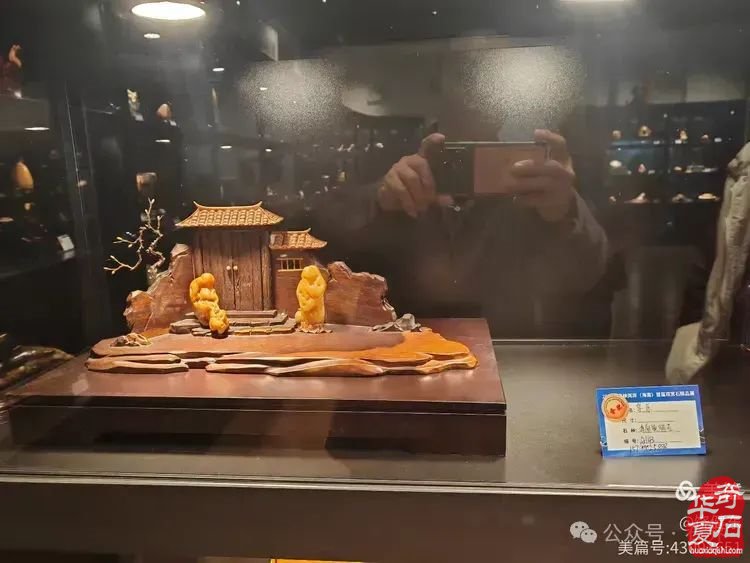 昌江县观赏石协会组团海峡两岸（海南）首届观赏石展 斩获佳绩