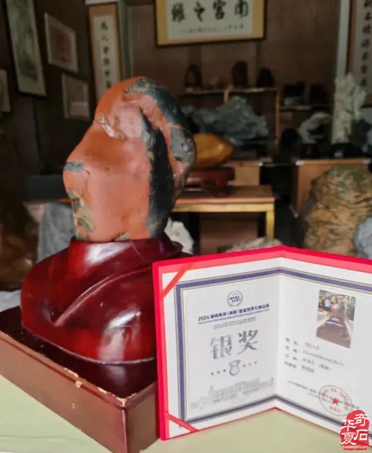 昌江县观赏石协会组团海峡两岸（海南）首届观赏石展 斩获佳绩
