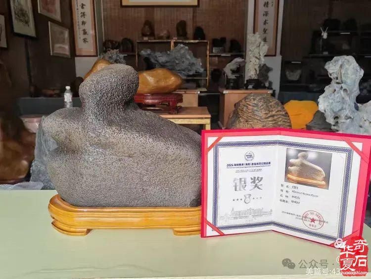 昌江县观赏石协会组团海峡两岸（海南）首届观赏石展 斩获佳绩