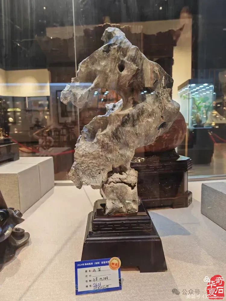 昌江县观赏石协会组团海峡两岸（海南）首届观赏石展 斩获佳绩
