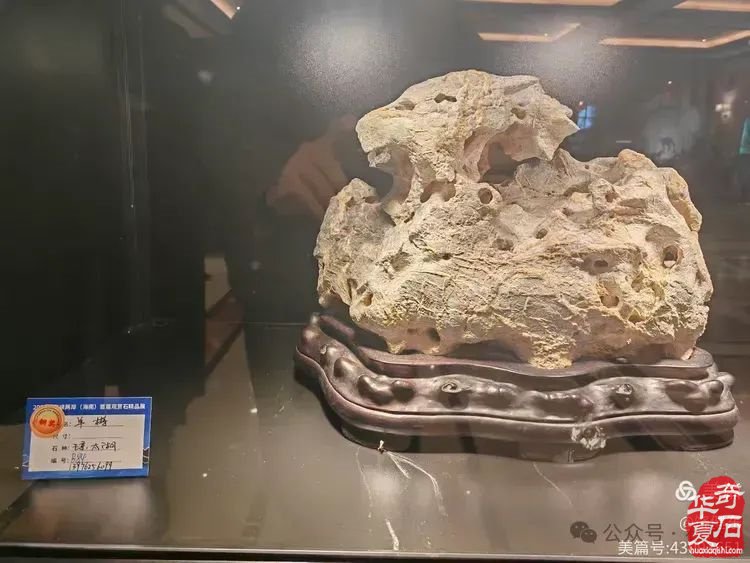 昌江县观赏石协会组团海峡两岸（海南）首届观赏石展 斩获佳绩