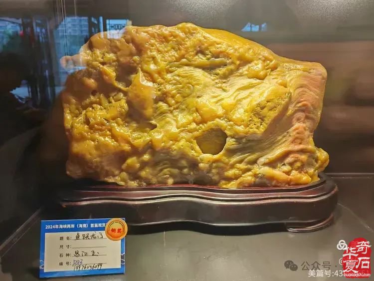 昌江县观赏石协会组团海峡两岸（海南）首届观赏石展 斩获佳绩