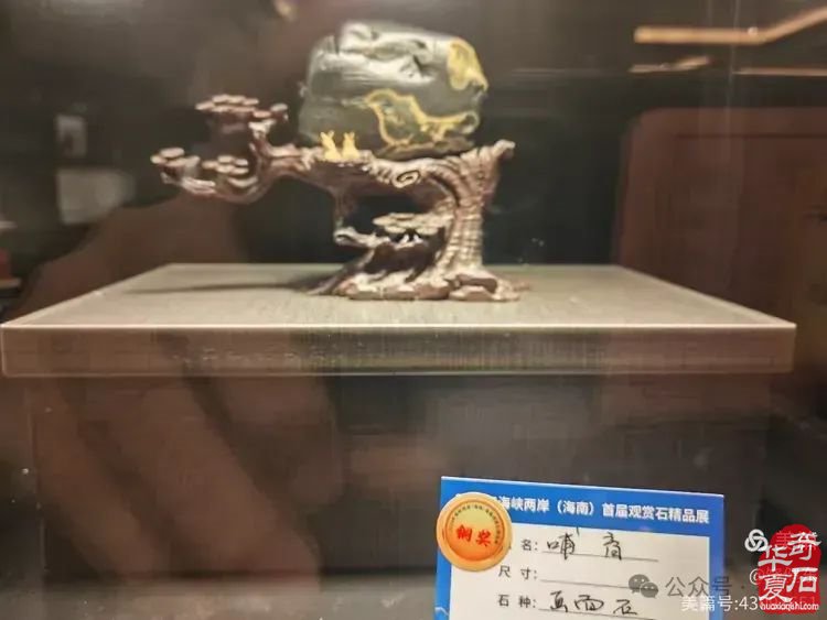 昌江县观赏石协会组团海峡两岸（海南）首届观赏石展 斩获佳绩