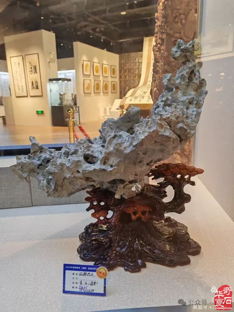 昌江县观赏石协会组团海峡两岸（海南）首届观赏石展 斩获佳绩