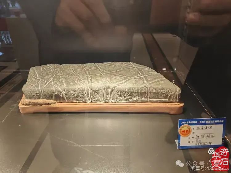 昌江县观赏石协会组团海峡两岸（海南）首届观赏石展 斩获佳绩