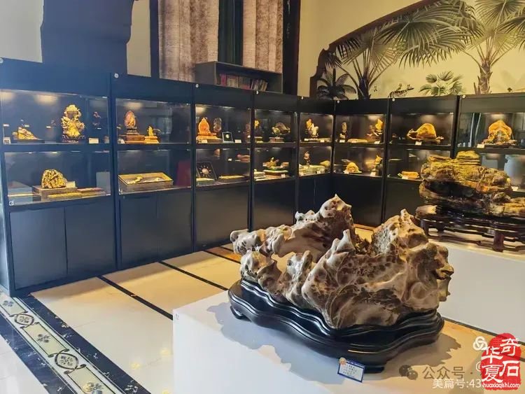昌江县观赏石协会组团海峡两岸（海南）首届观赏石展 斩获佳绩
