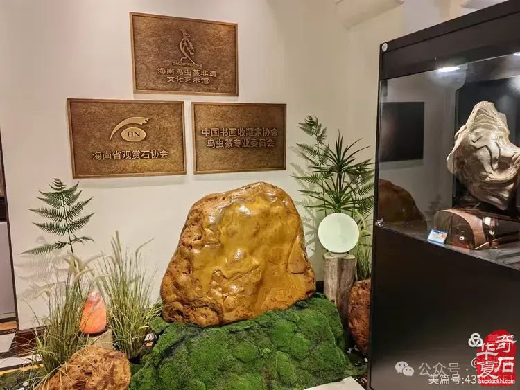 昌江县观赏石协会组团海峡两岸（海南）首届观赏石展 斩获佳绩