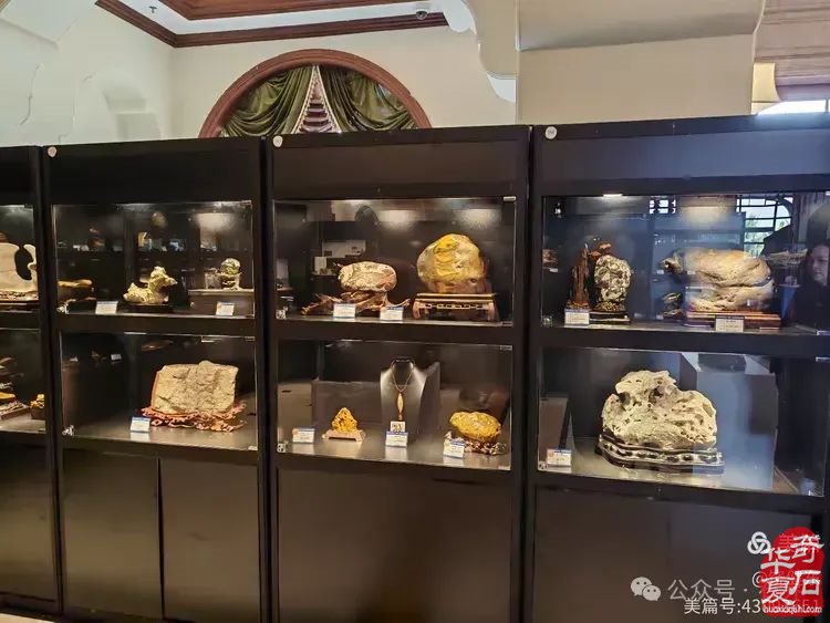 昌江县观赏石协会组团海峡两岸（海南）首届观赏石展 斩获佳绩