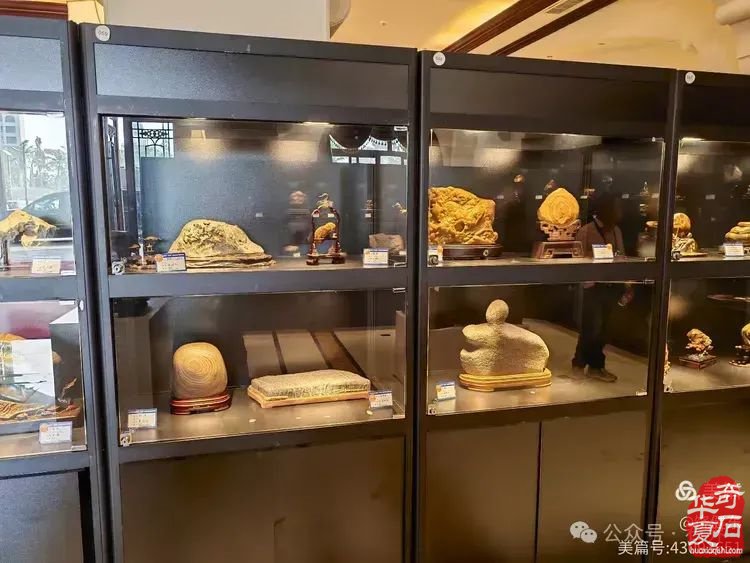 昌江县观赏石协会组团海峡两岸（海南）首届观赏石展 斩获佳绩