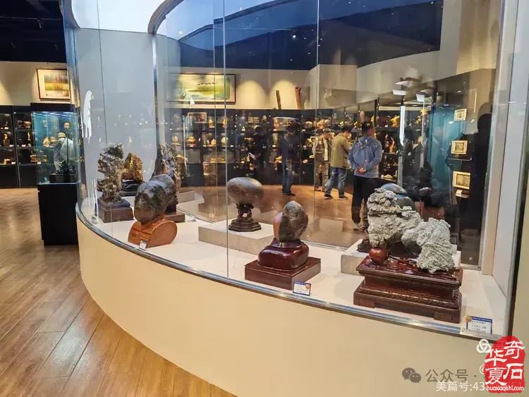昌江县观赏石协会组团海峡两岸（海南）首届观赏石展 斩获佳绩