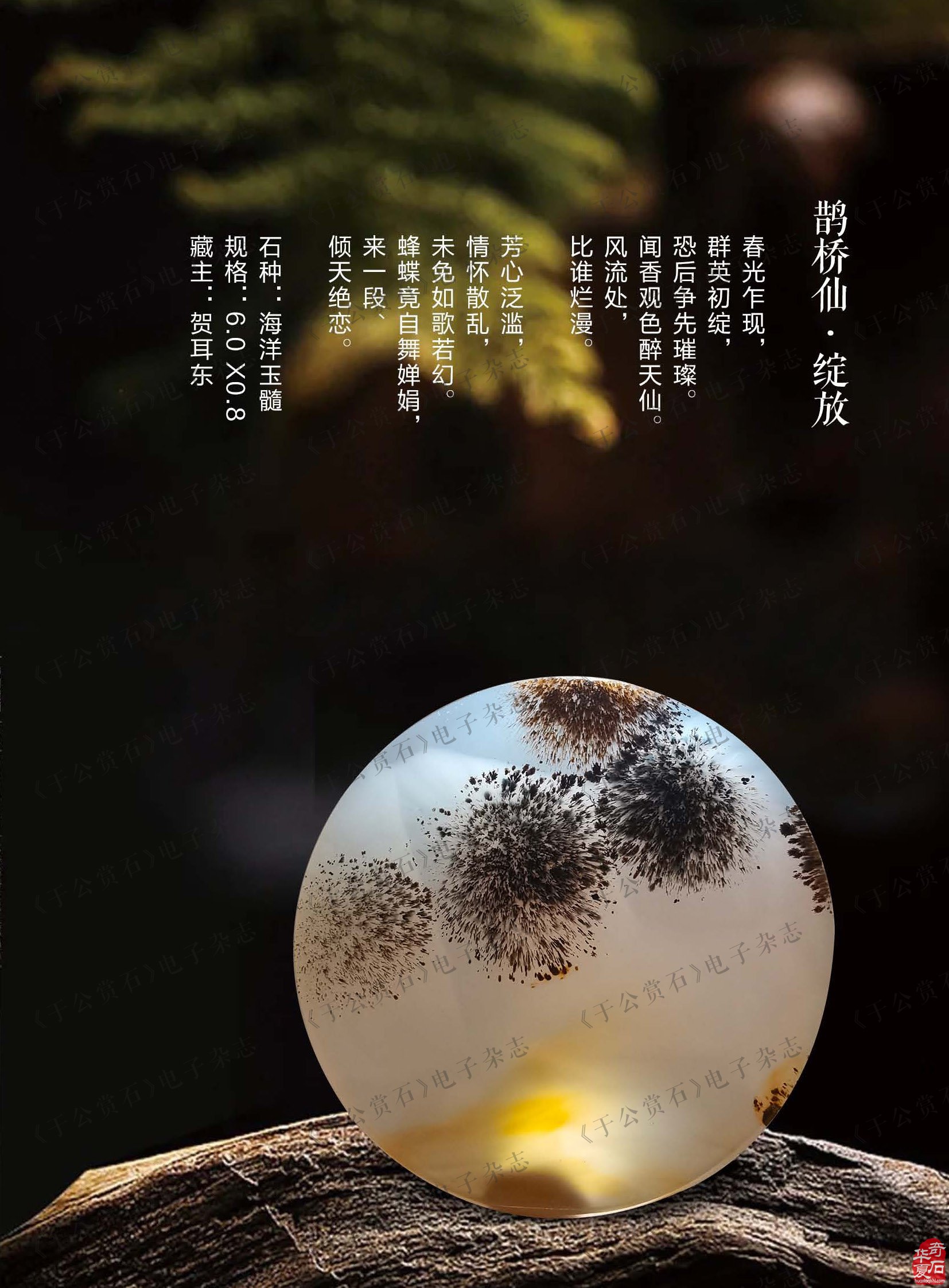看《于公赏石》听名人名家阔论高谈