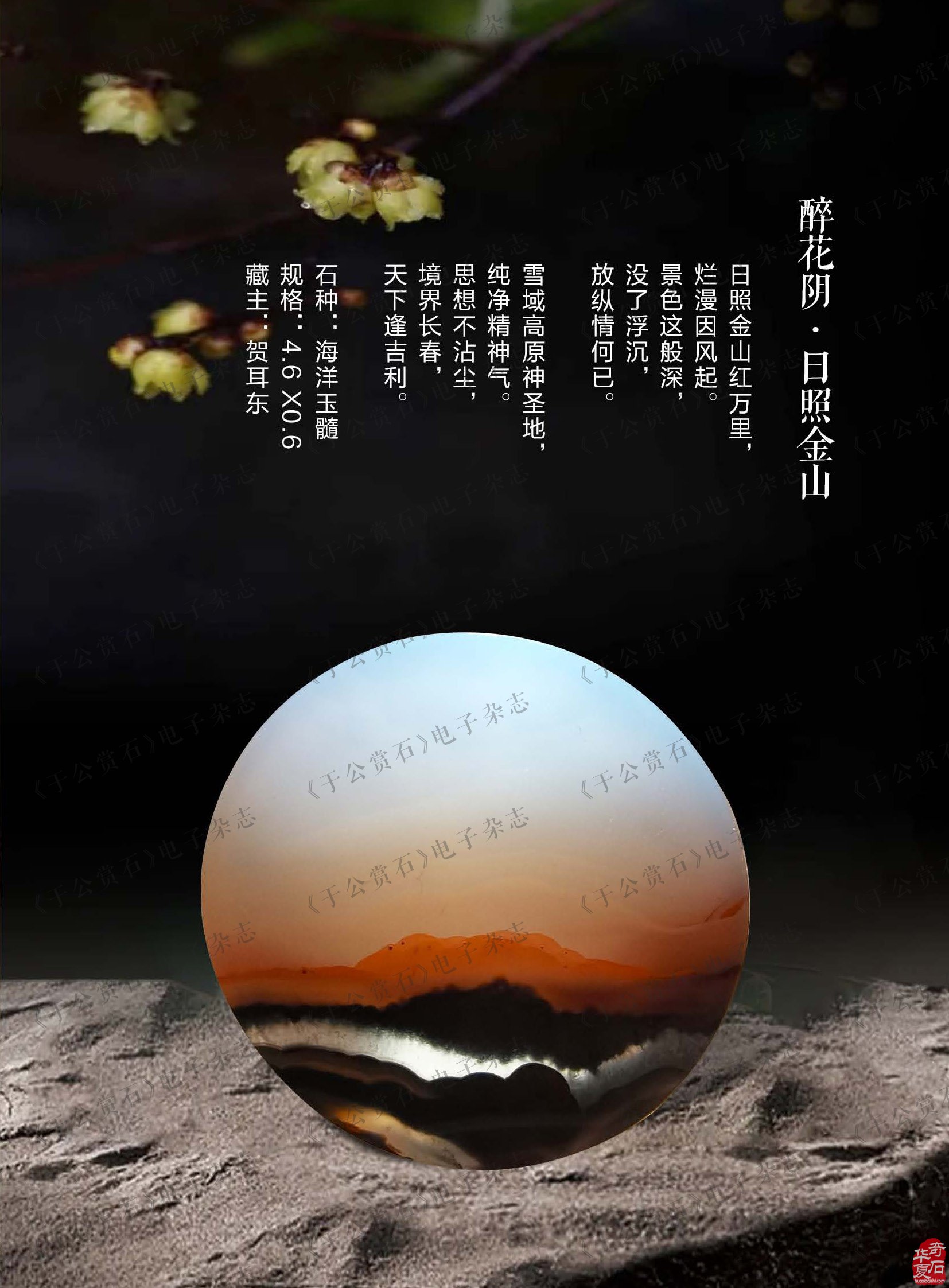 看《于公赏石》听名人名家阔论高谈