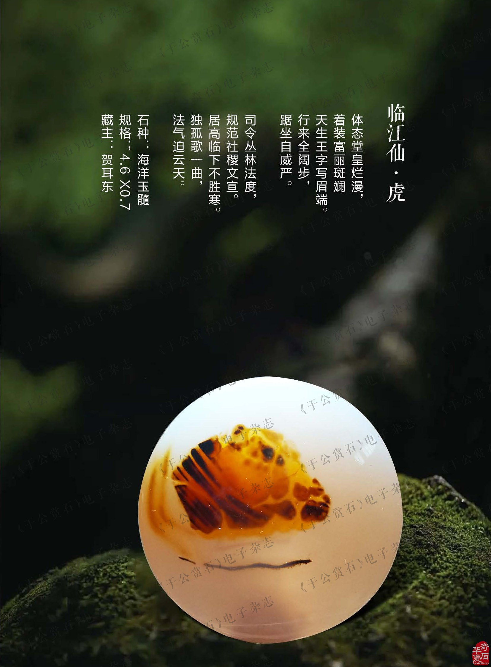 看《于公赏石》听名人名家阔论高谈