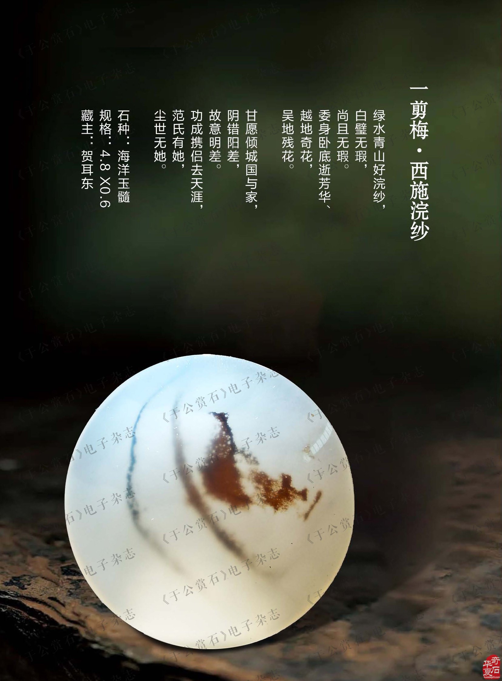 看《于公赏石》听名人名家阔论高谈
