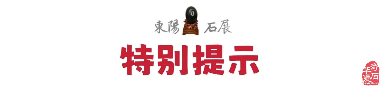 2025中国(东阳)首届“赏石非遗杯”·名家名石展诚邀天下石友