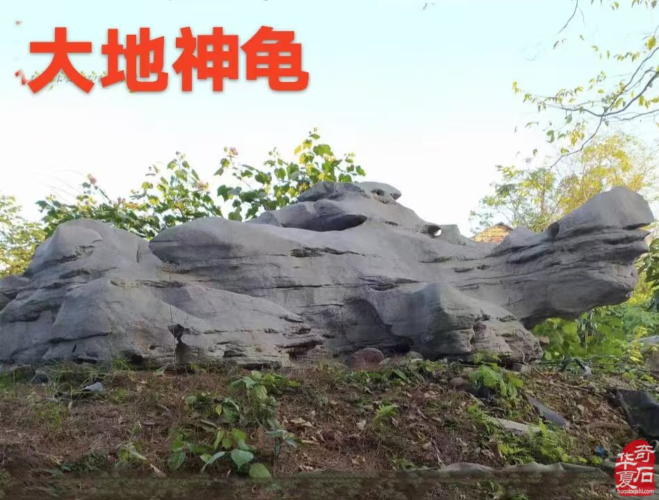石界一位执着收藏把玩的老玩家