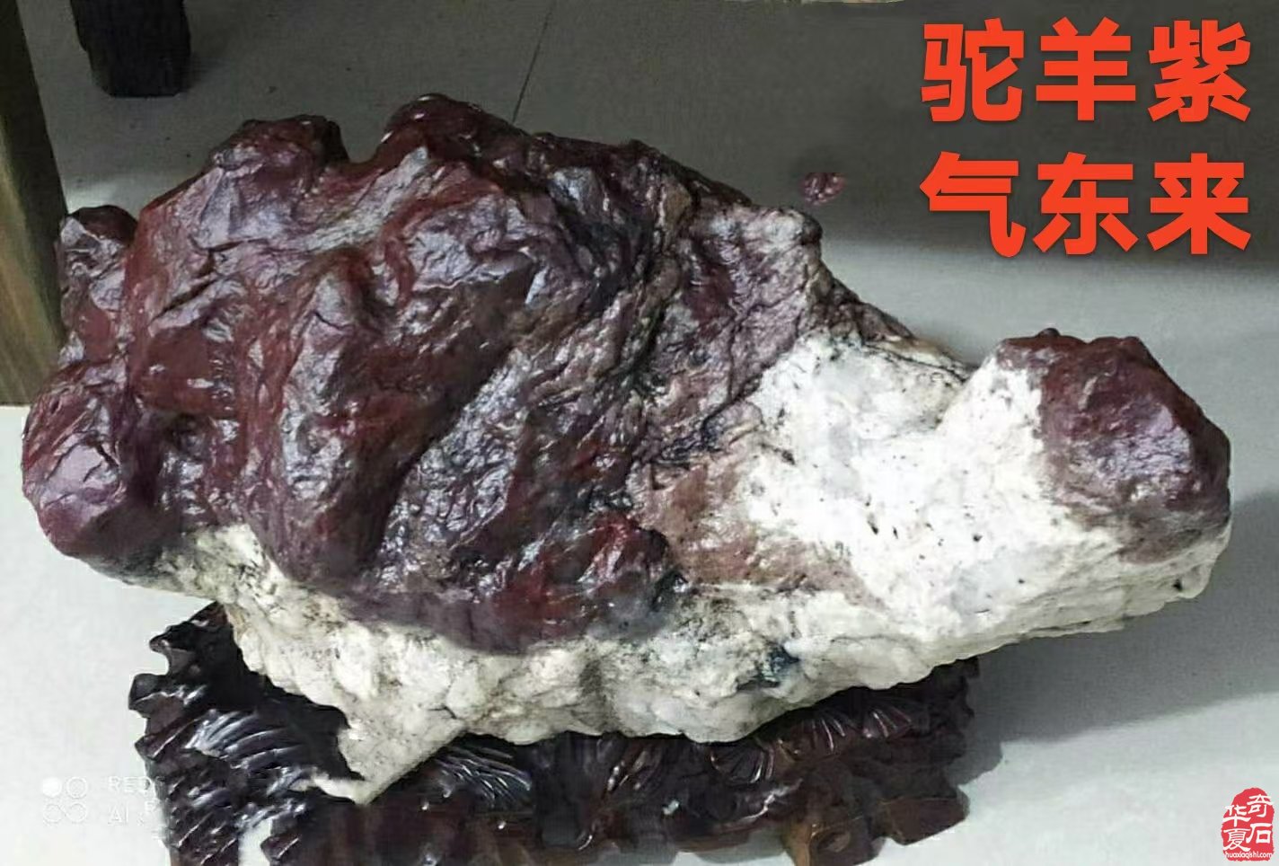 石界一位执着收藏把玩的老玩家