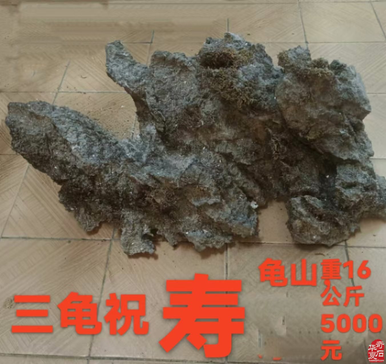 石界一位执着收藏把玩的老玩家