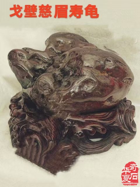 石界一位执着收藏把玩的老玩家