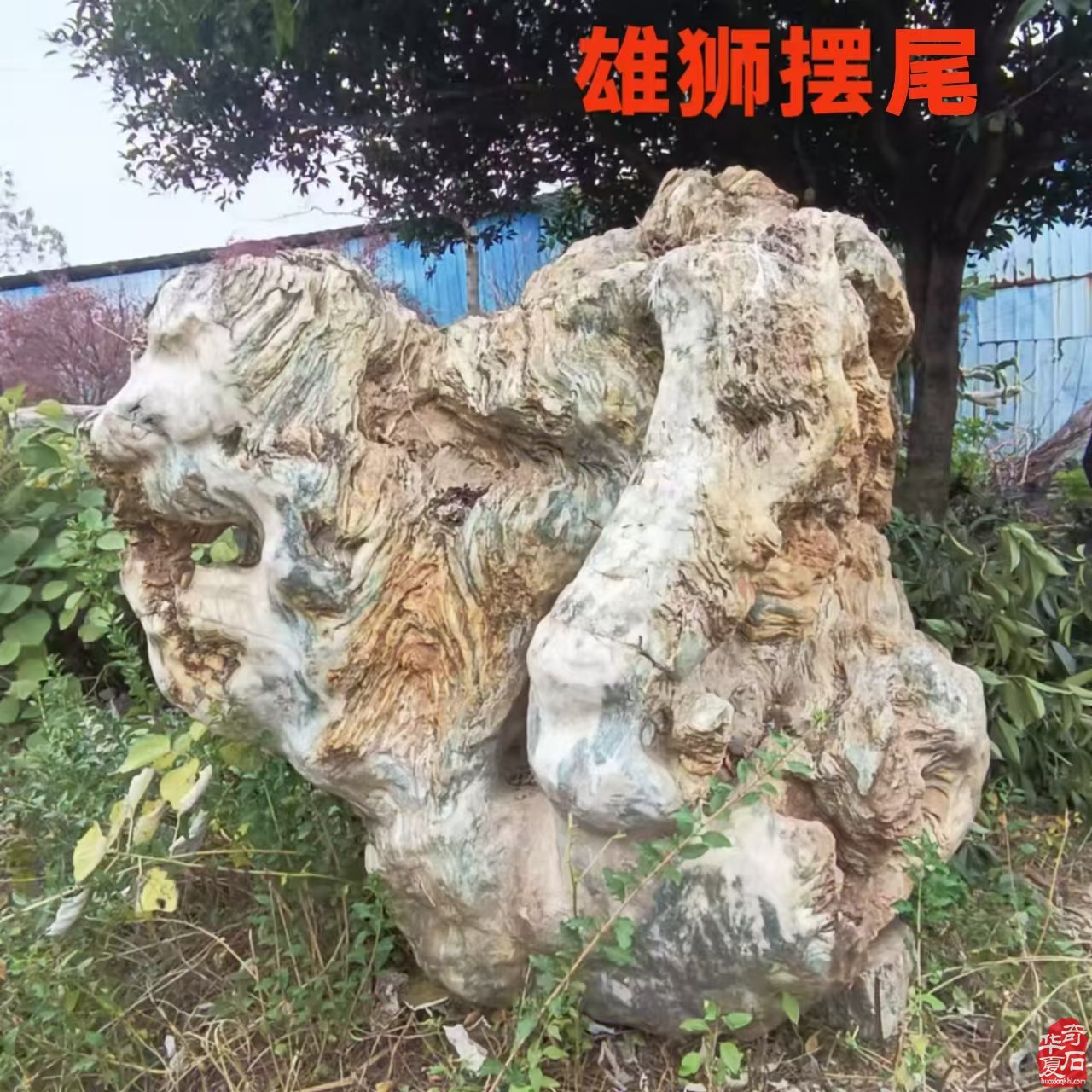 石界一位执着收藏把玩的老玩家