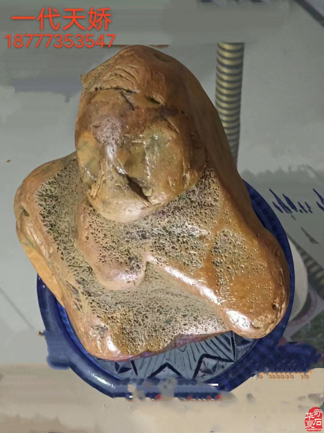 石界一位执着收藏把玩的老玩家