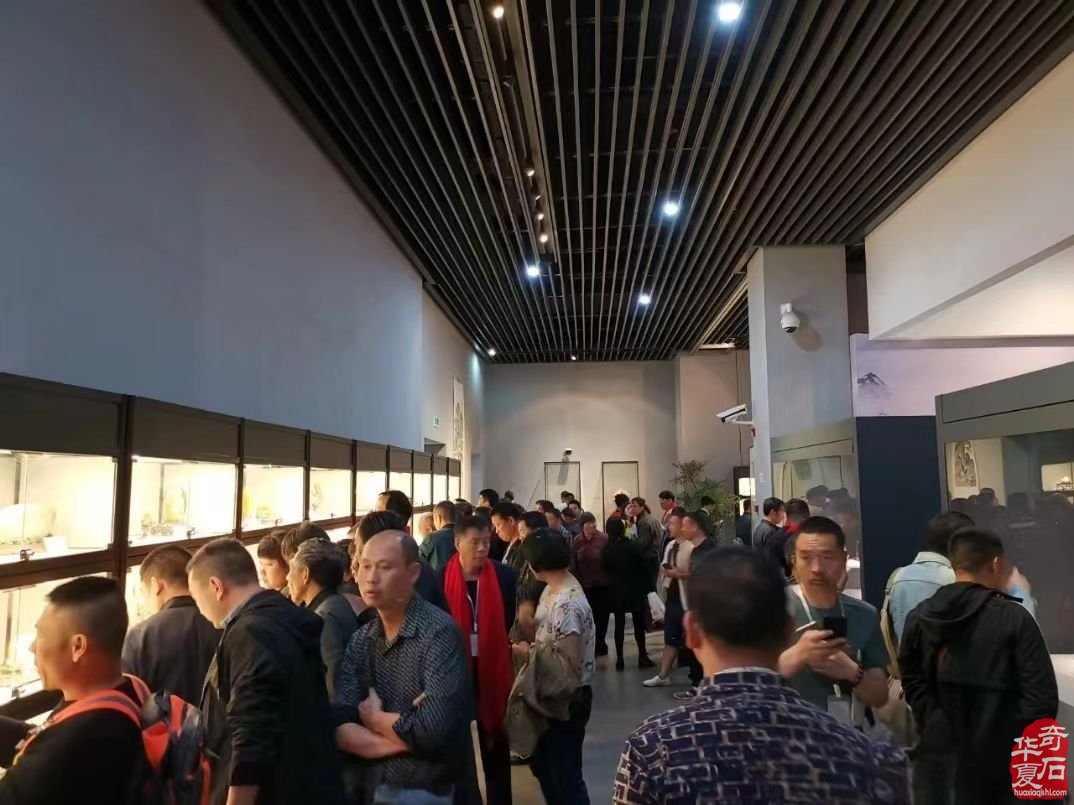 东阳洛阳义乌三展联动共襄赏石盛事