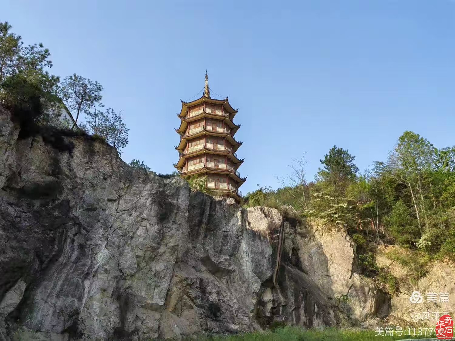 东阳洛阳义乌三展联动共襄赏石盛事