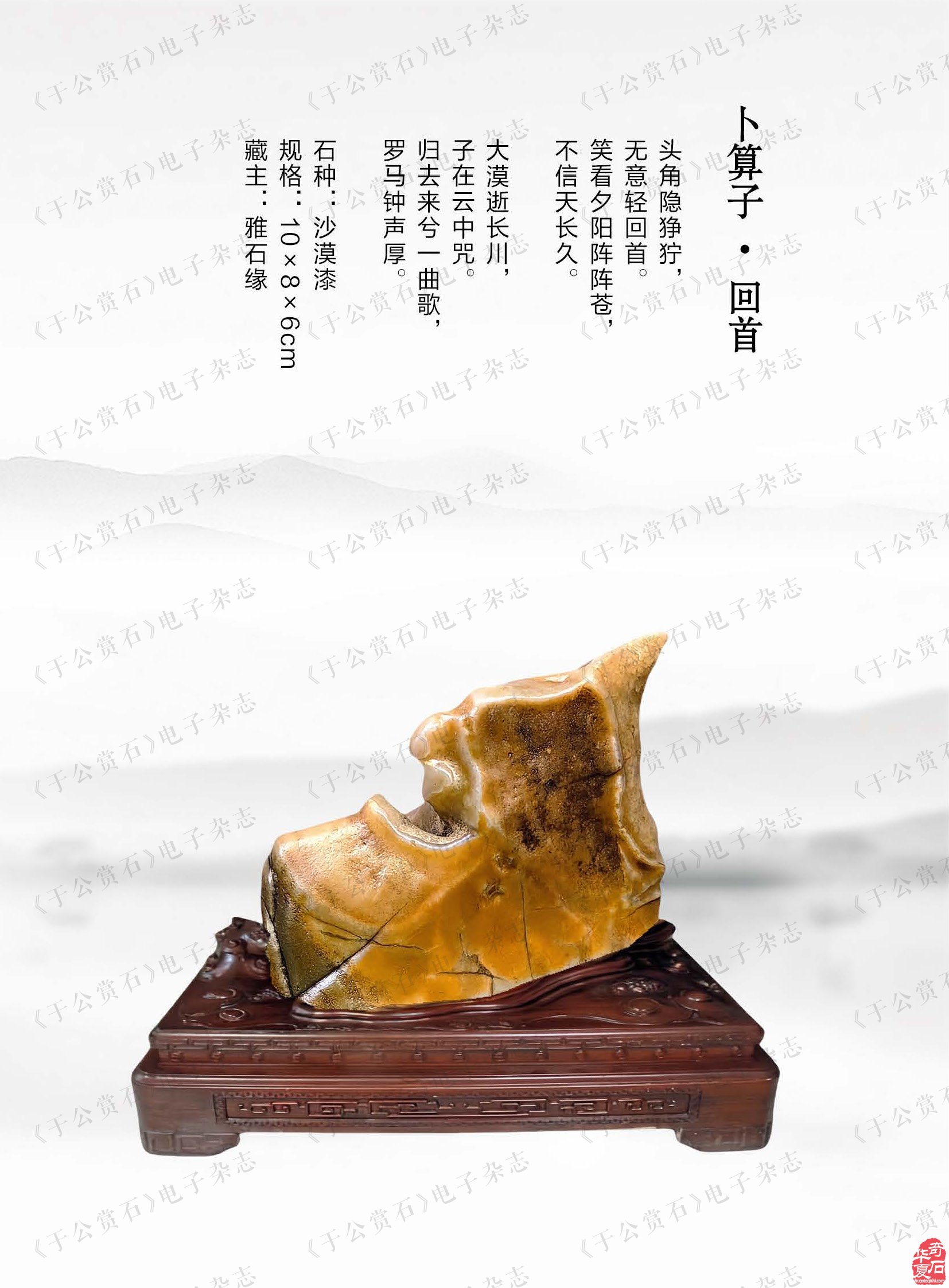 平常的心静静的赏石且看《于公赏石》怎么说