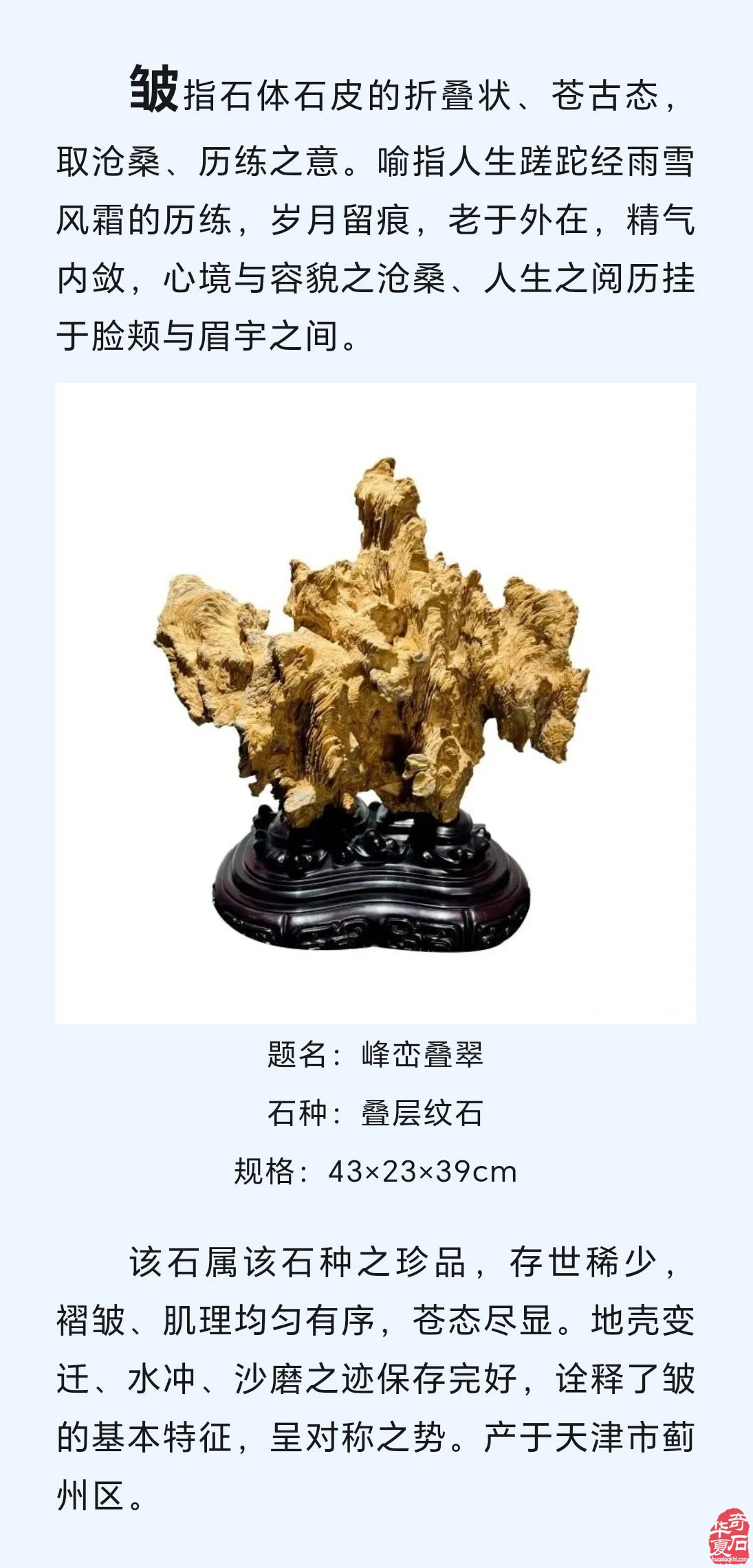 赏石悟道（发表于《自然资源科普与文化》2024年第4期）