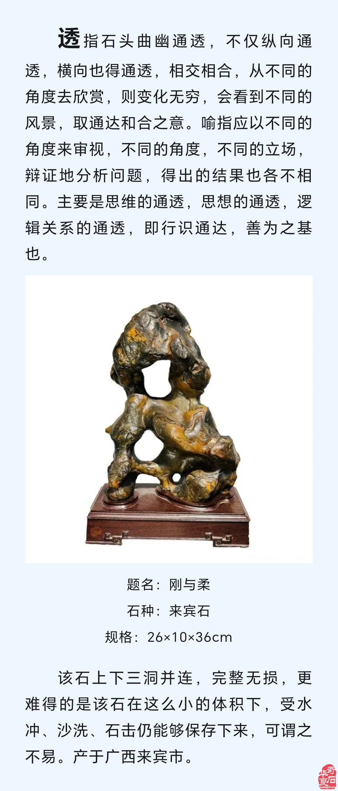 赏石悟道（发表于《自然资源科普与文化》2024年第4期）
