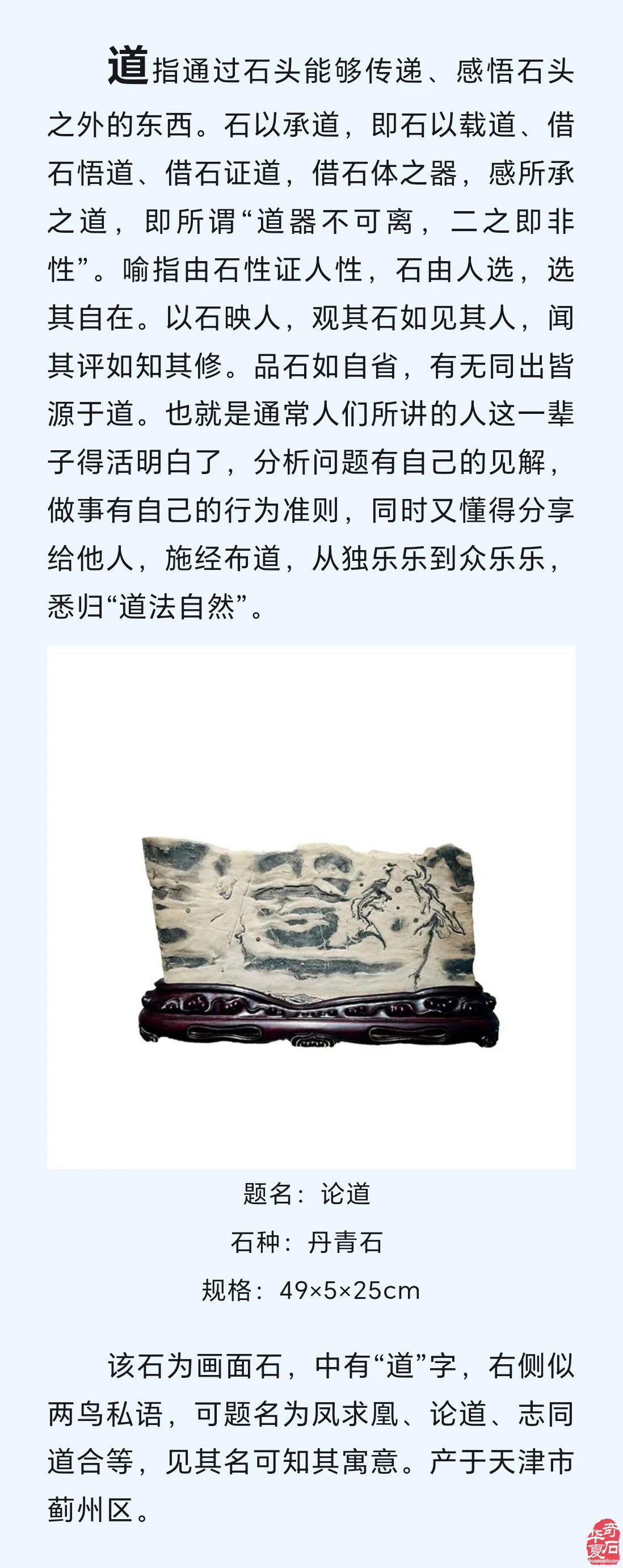 赏石悟道（发表于《自然资源科普与文化》2024年第4期）