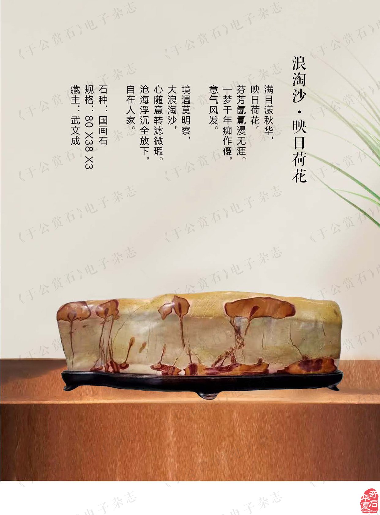 迎新春赏美石《于公赏石》推出名家风范刘立新