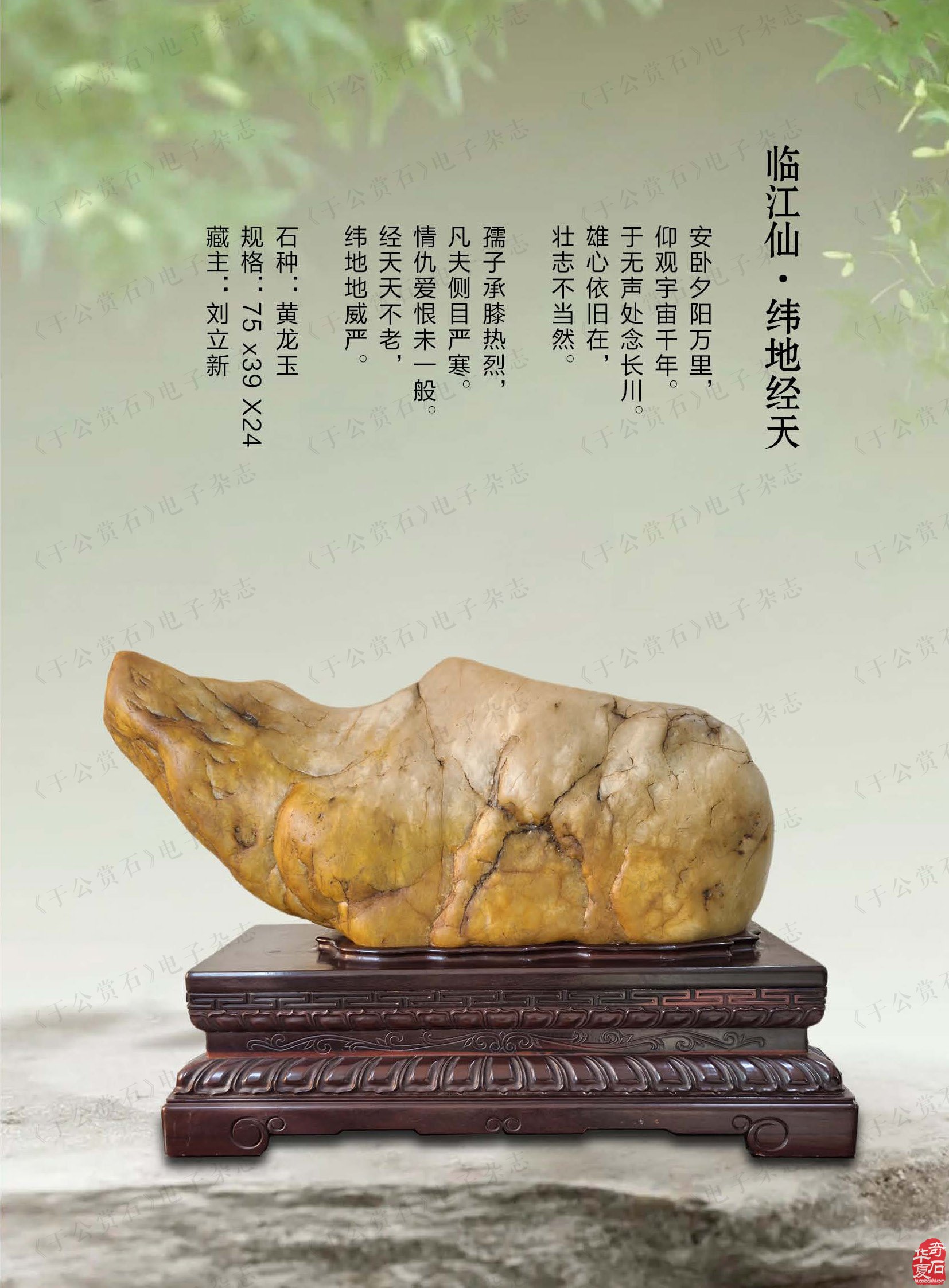 迎新春赏美石《于公赏石》推出名家风范刘立新