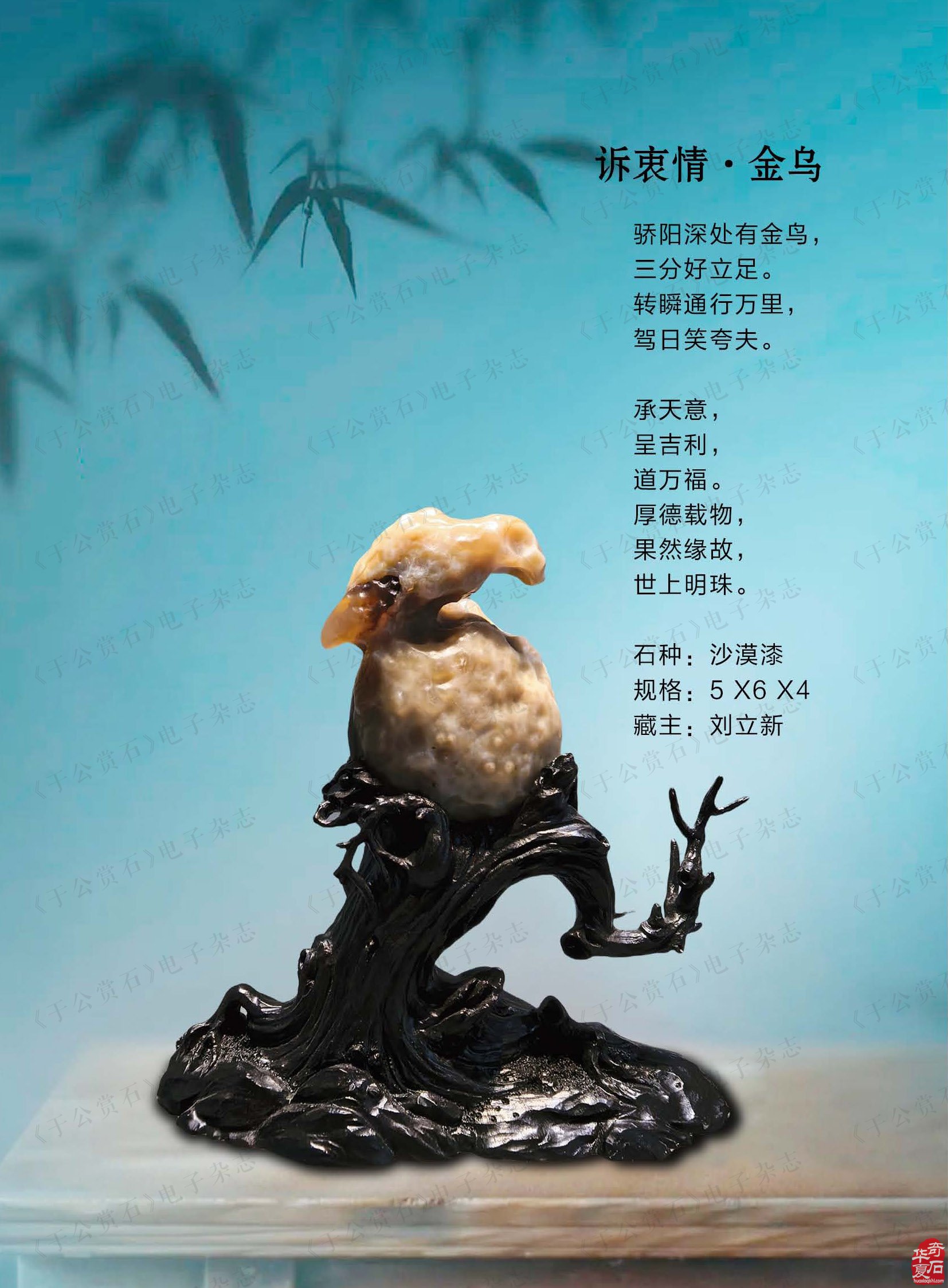 迎新春赏美石《于公赏石》推出名家风范刘立新