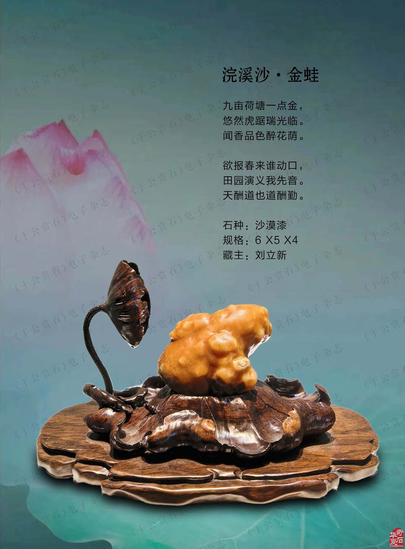迎新春赏美石《于公赏石》推出名家风范刘立新