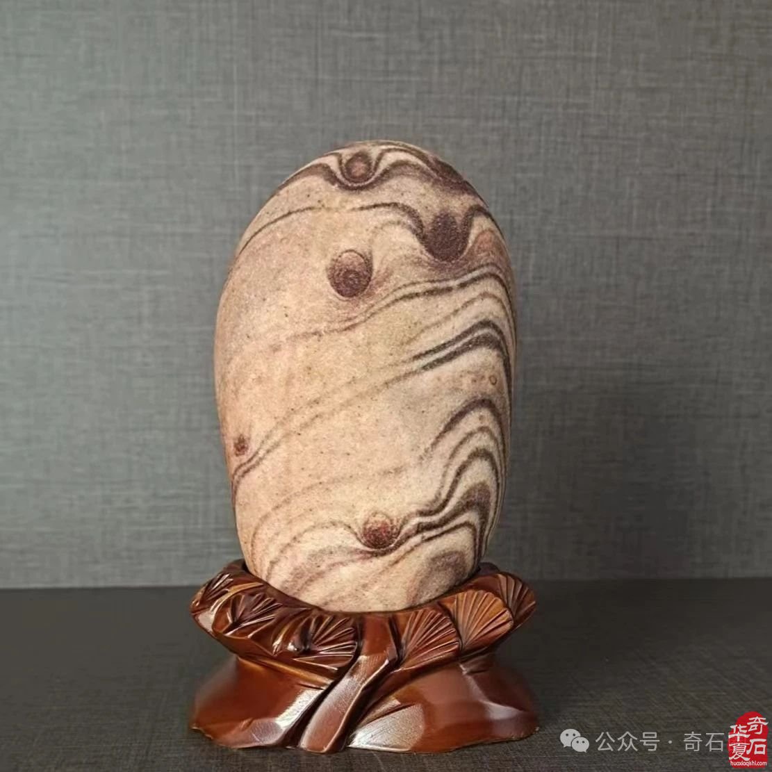 说说我家的“奇石交流群”