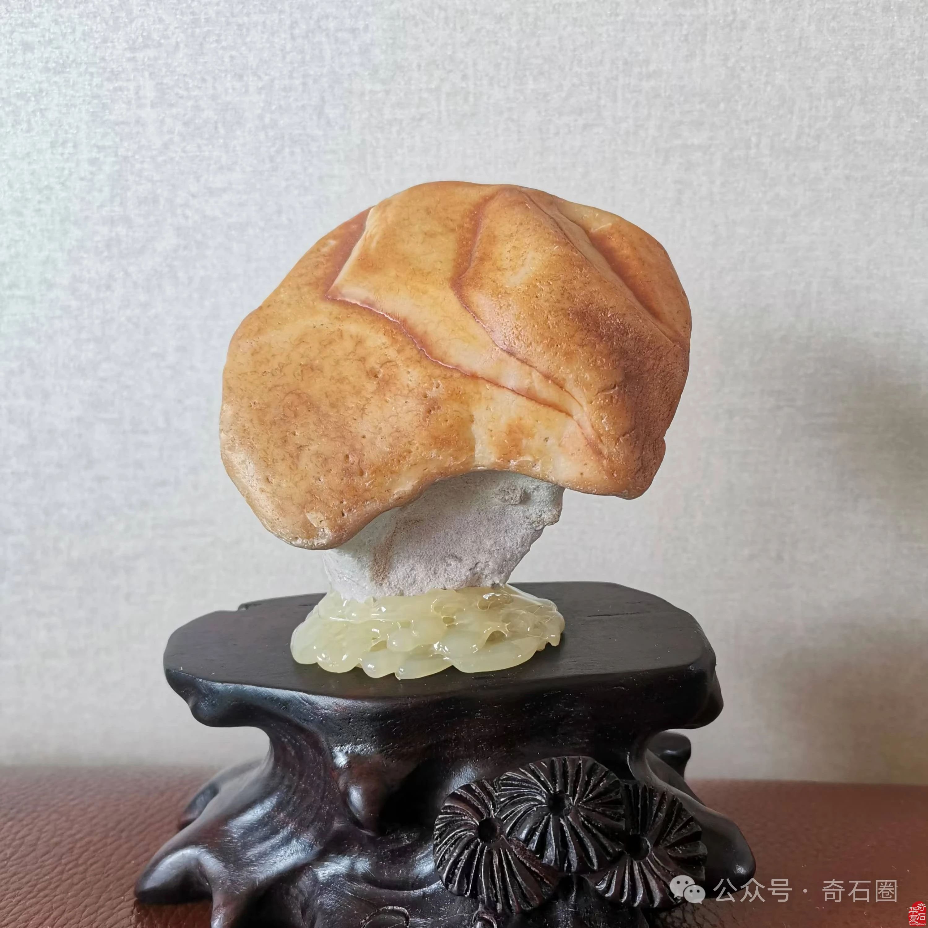 说说我家的“奇石交流群”