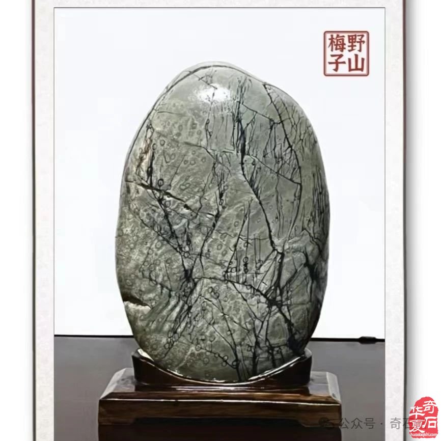 说说我家的“奇石交流群”