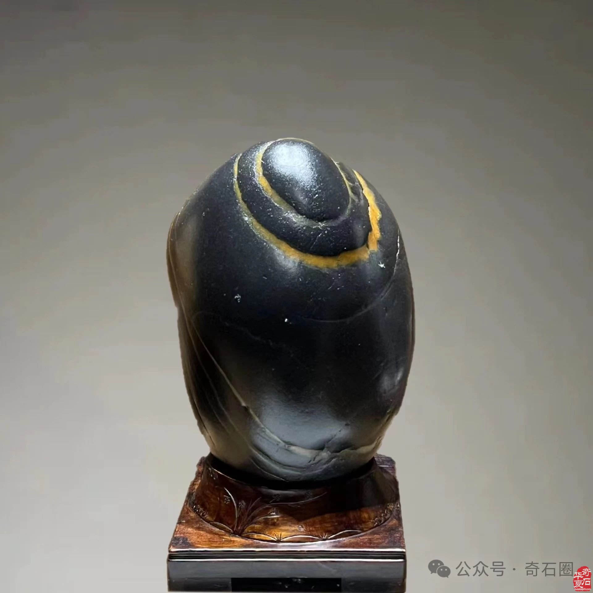 说说我家的“奇石交流群”