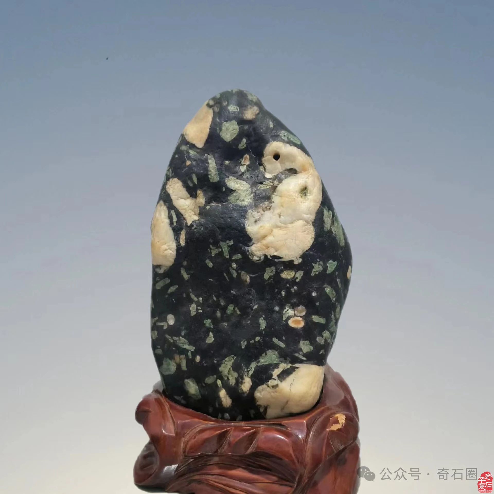 说说我家的“奇石交流群”
