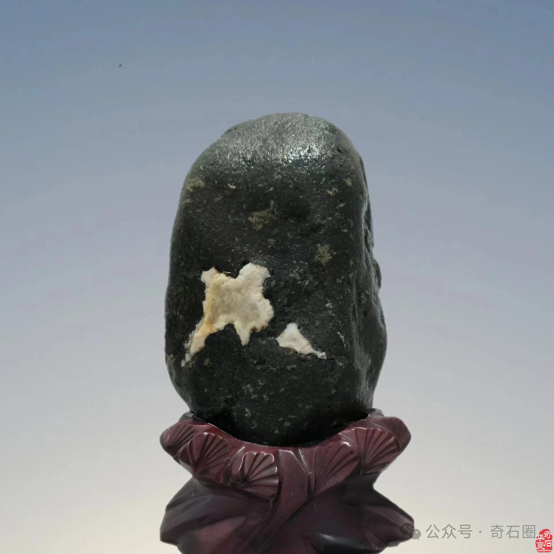 说说我家的“奇石交流群”
