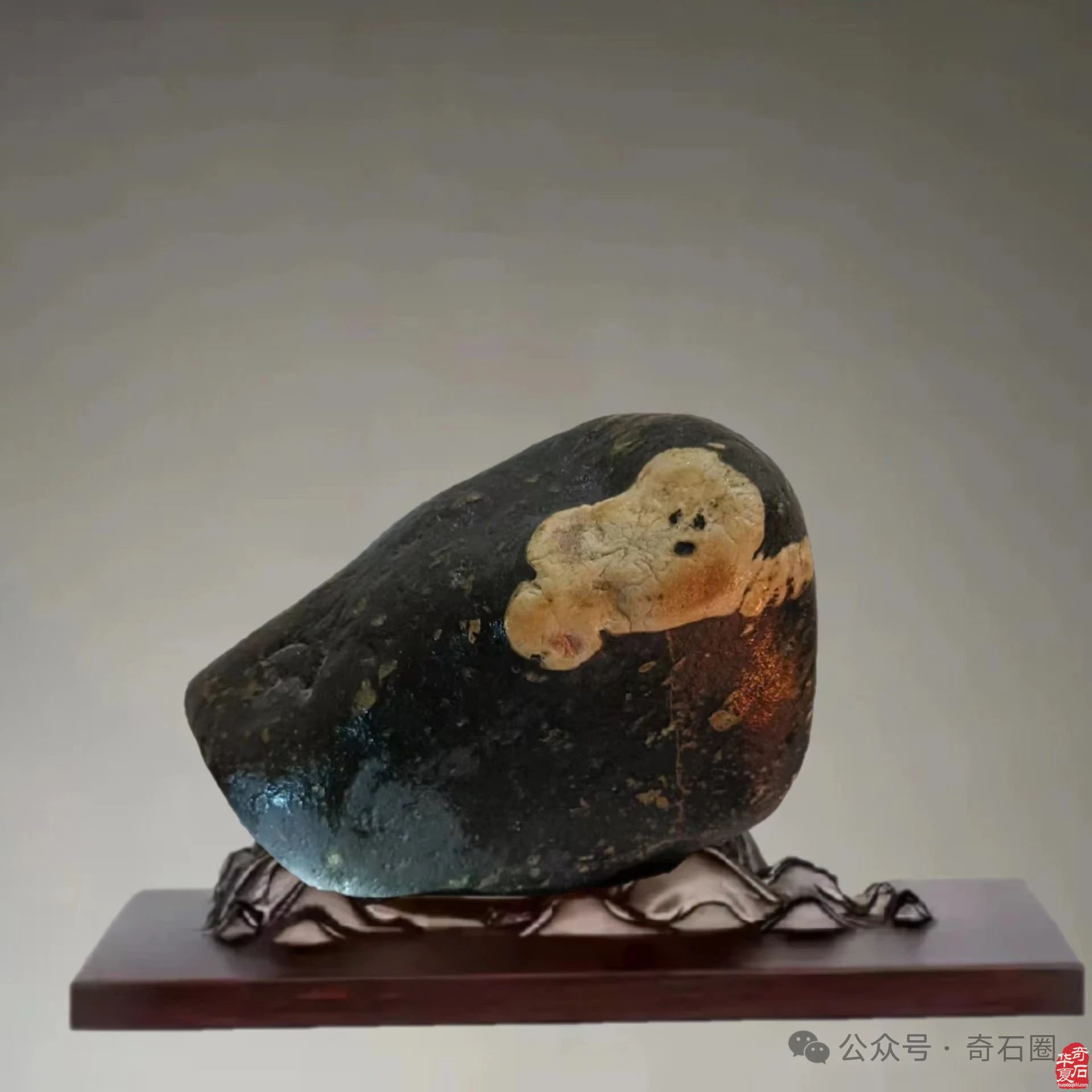 说说我家的“奇石交流群”